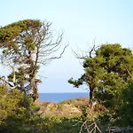 Mimose Badesi