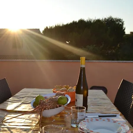 Mimose * Badesi